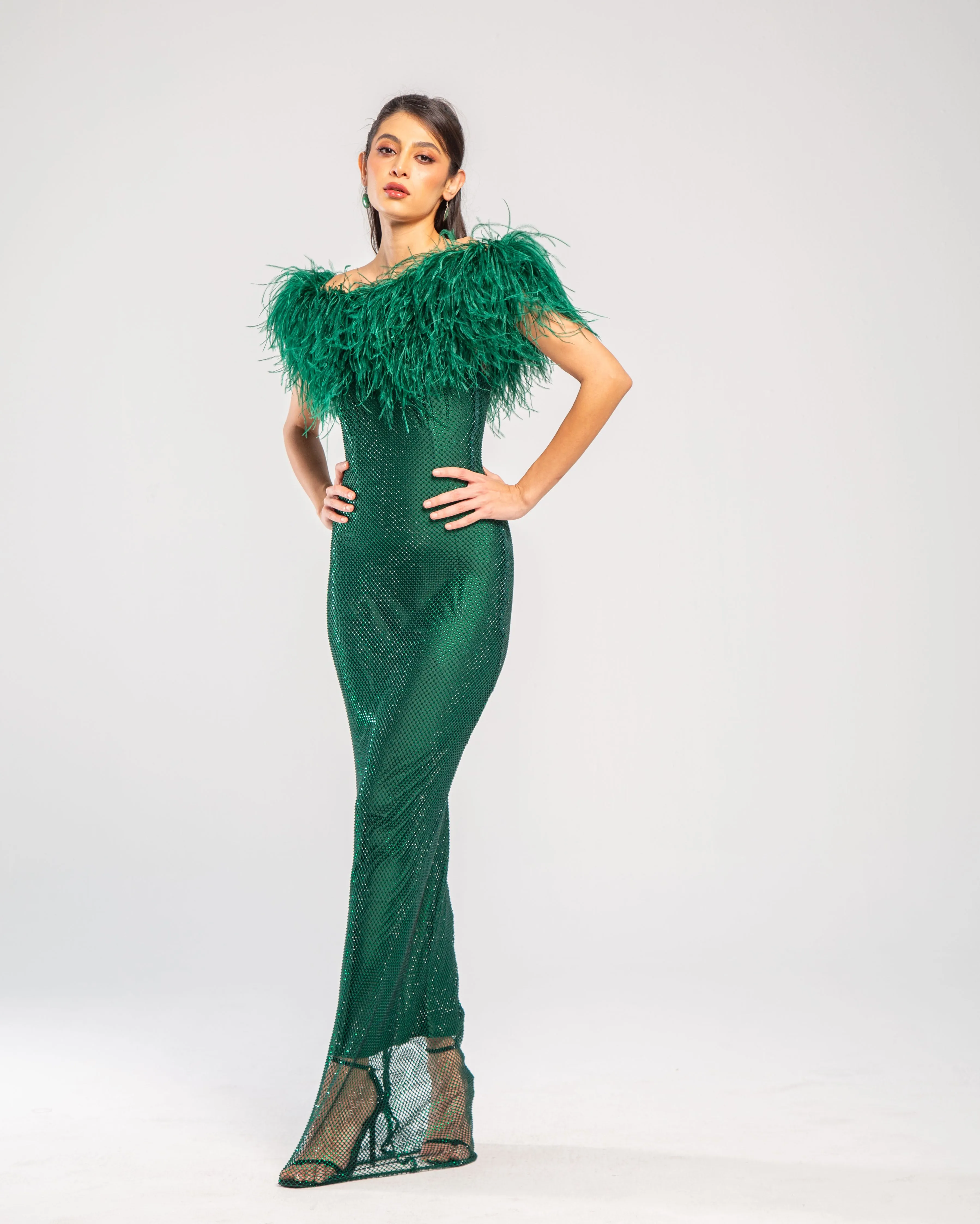 Crystal Embellished Feather Off-Shoulder Maxi Dress
