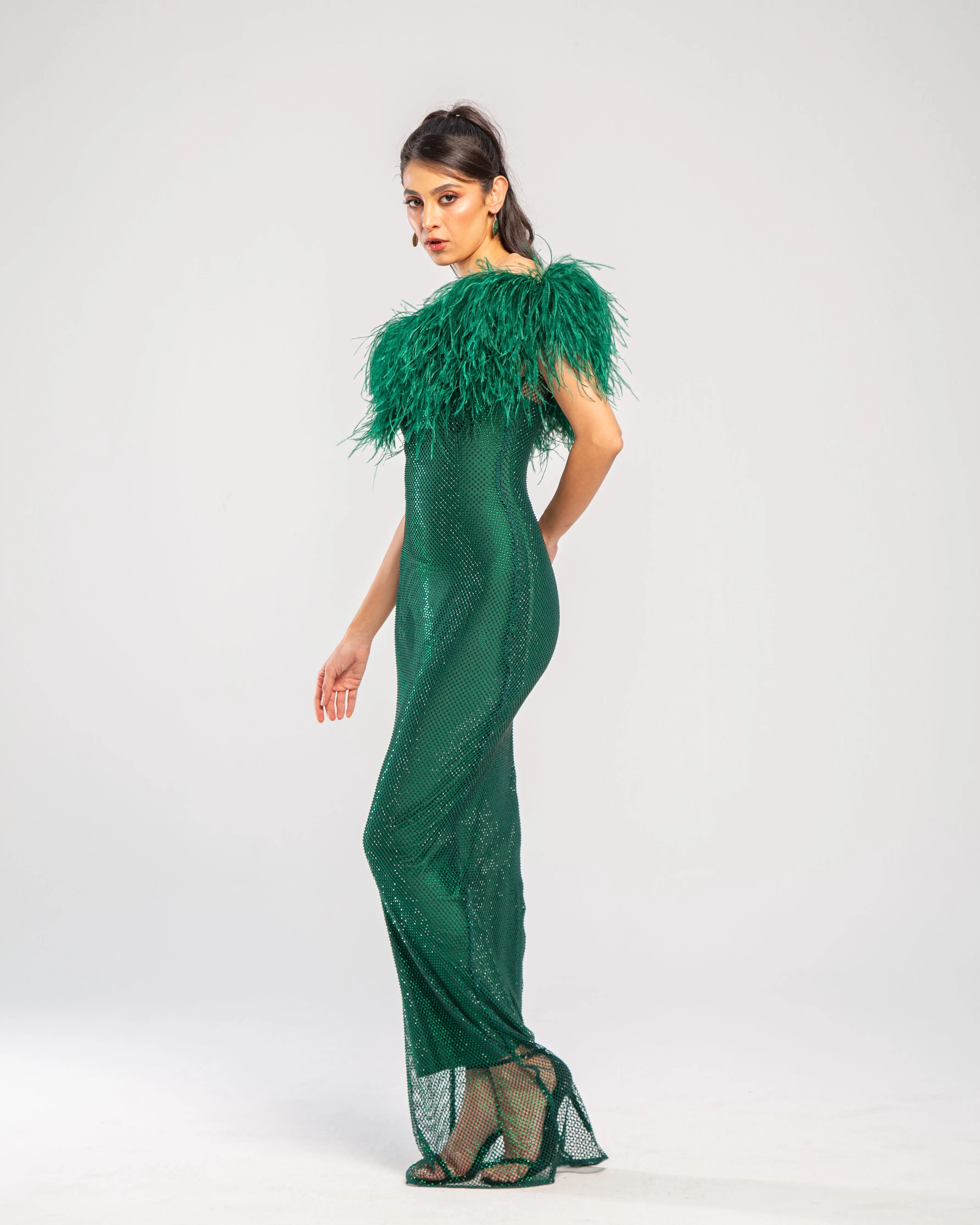 Crystal Embellished Feather Off-Shoulder Maxi Dress