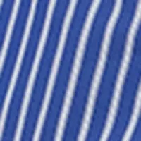 Long Sleeve Stripe Shirt Dress